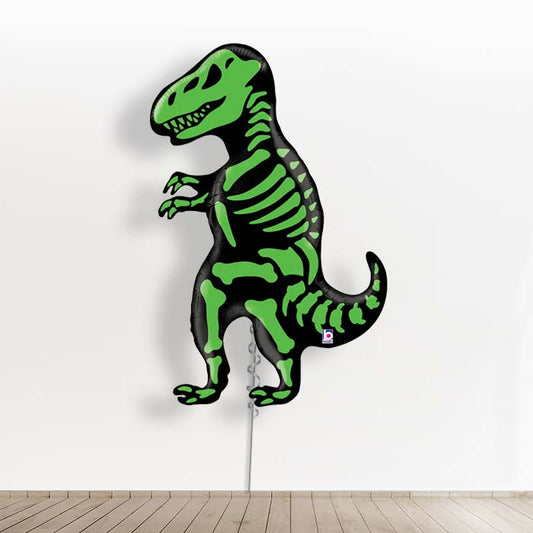 T Rex Big Dinosaur Balloons in a Box Gift - Giant Balloon | Small Indoor Plants