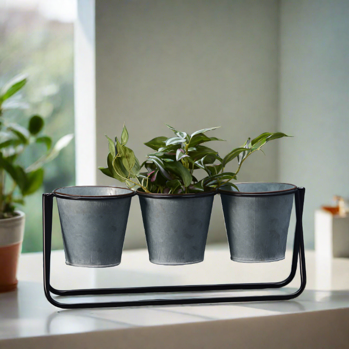 Trio Metal Windowsill Plant Pots and Stand on a windowsill