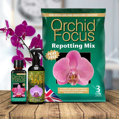 Phalaenopsis Orchid Care Kit | Small Indoor Plants