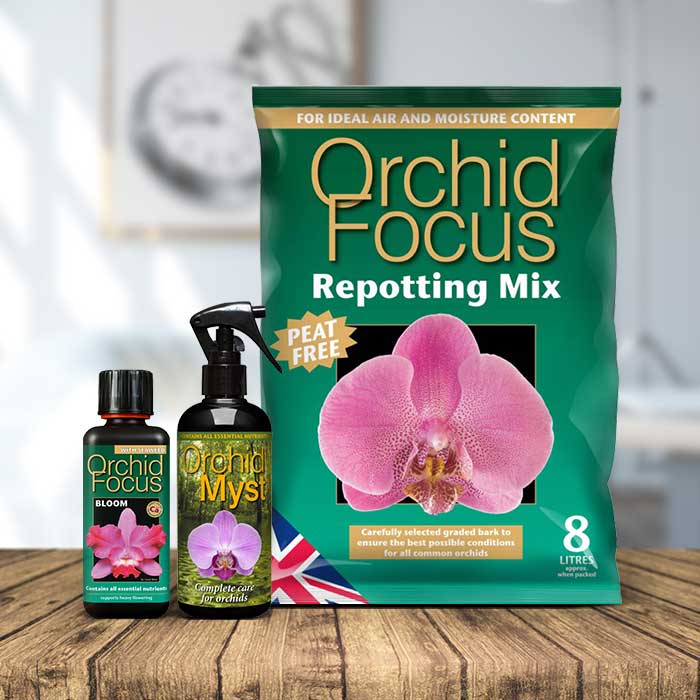 Orchid Repotting Kit