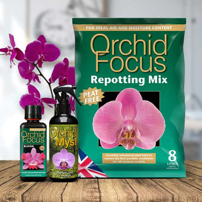 Phalaenopsis Orchid Repotting Kit | Small Indoor Plants