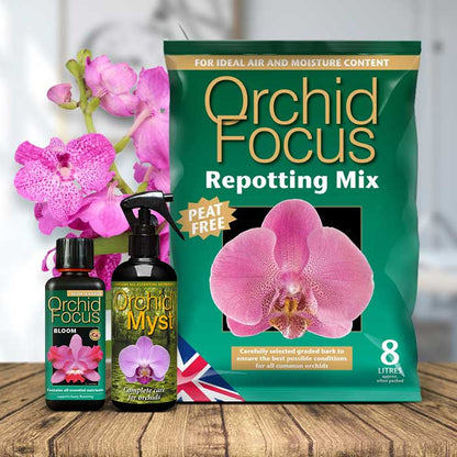 Vanda Orchid Repotting Kit | Small Indoor Plants