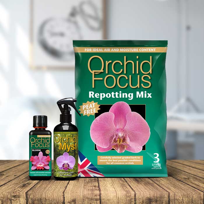 Orchid Care Kit