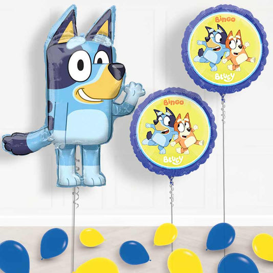 Bluey Balloon Display Package Delivered Inflated