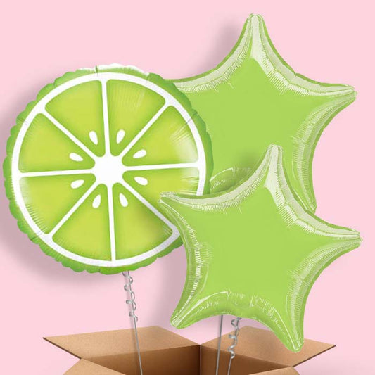 Fruit Lime Helium Balloons Delivered in a Box - 3 Balloon | Small Indoor Plants