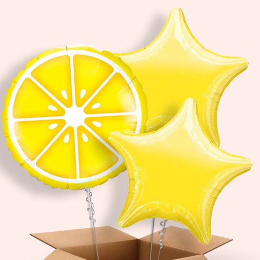 Lemon Helium Balloons in a Box - 3 Balloon | Small Indoor Plants