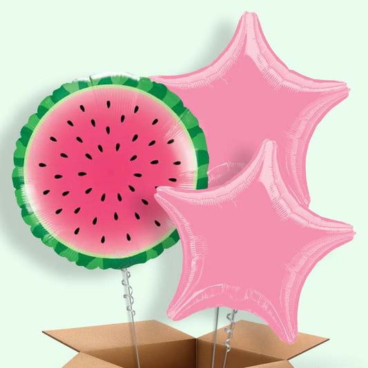 Watermelon Helium Balloons in a Box - 3 Balloon | Small Indoor Plants