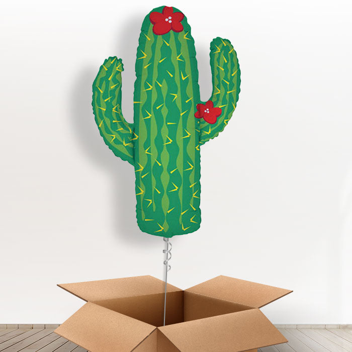 Giant Cactus Balloon in a Box