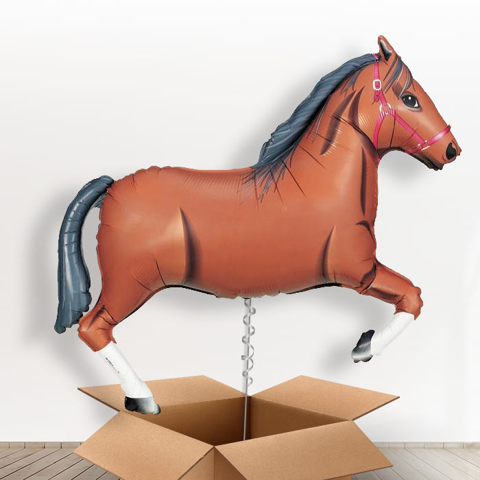 Dark Brown Horse Helium Balloons in a Box - Giant Balloon | Small Indoor Plants