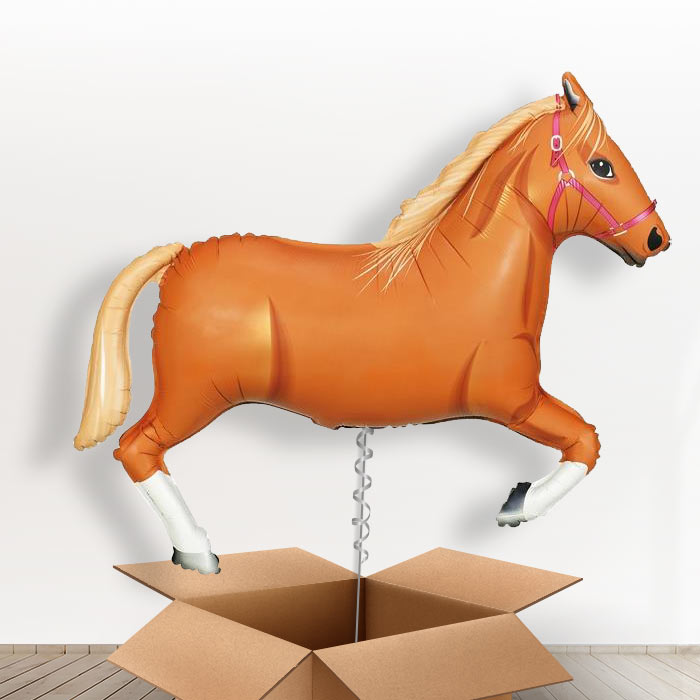 Light Brown Horse Balloons in a Box - Giant Balloon | Small Indoor Plants