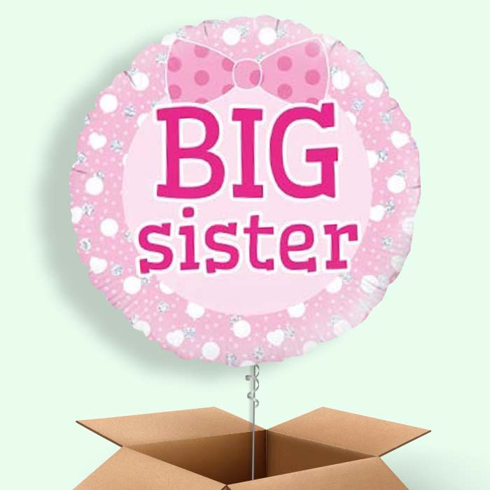 Big Sister Balloon in a Box - 1 Balloon | Small Indoor Plants