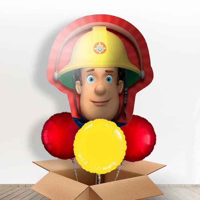 Giant Fireman Sam Balloons in a Box - With 3 Themed Balloons | Small Indoor Plants