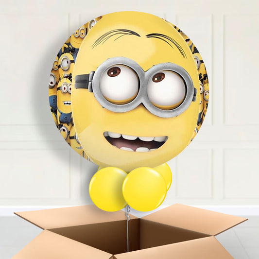 Minions Orbz Balloon in a Box - Orbz Balloon | Small Indoor Plants