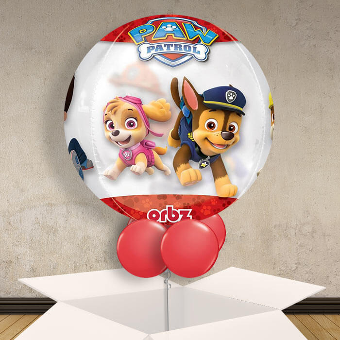 Paw Patrol Orbz Balloon in a Box Gift - Orbz Balloon | Small Indoor Plants
