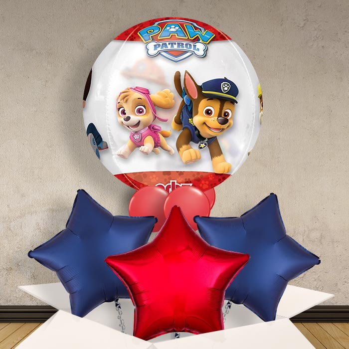Paw Patrol Orbz Balloon in a Box Gift - Orbz Balloon with 3 Balloons | Small Indoor Plants
