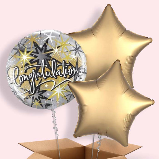 Silver & Gold Congratulations Helium Balloon in a Box - 3 Balloons | Small Indoor Plants