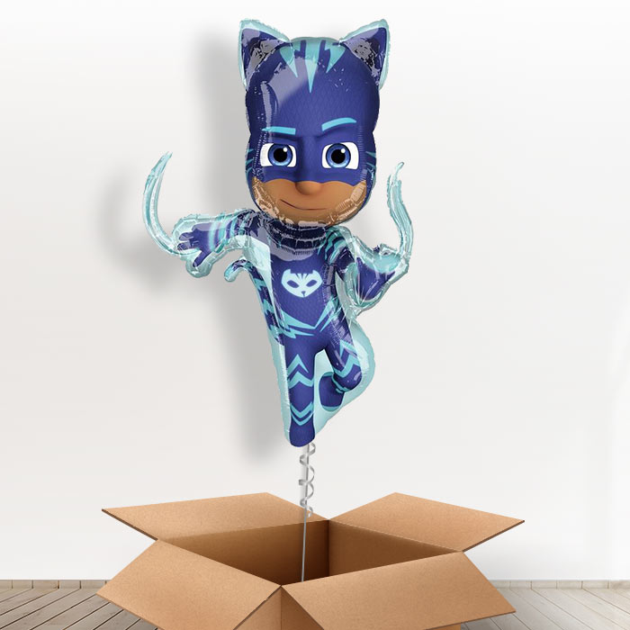 Giant Catboy PJ Masks Balloons in a Box - Giant Balloon | Small Indoor Plants