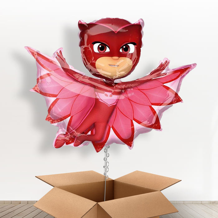 Giant Owlette PJ Masks Balloons in a Box - Giant Balloon | Small Indoor Plants