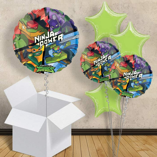 Ninja Turtles Balloon in a Box (Rise) - 1 Balloon | Small Indoor Plants