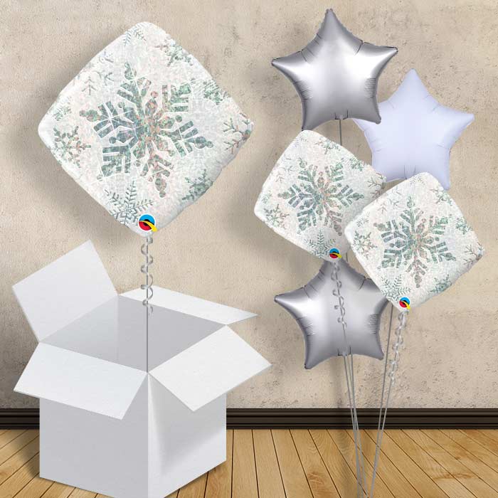 Holographic White Snowflakes Balloon in a Box - 1 Balloon | Small Indoor Plants