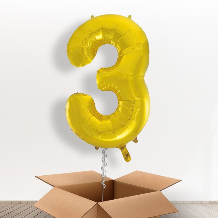 Big Gold Number 3 Balloon Inflated Number in a Box - Giant Number | Small Indoor Plants