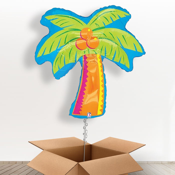 Giant Palm Tree Balloon in a Box - With 3 Plain Balloons | Small Indoor Plants