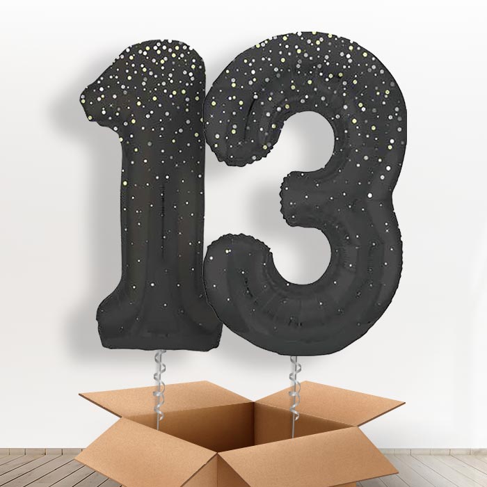 Black and Silver Dots 13 Balloons in a Box