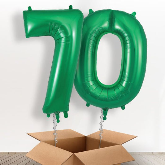 70 Balloons in a Box - Green - Package | Small Indoor Plants