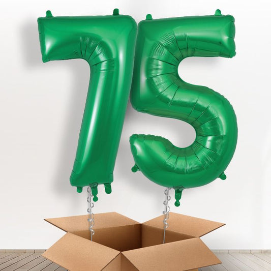 75 Helium Balloons in a Box Gift - Package | Small Indoor Plants