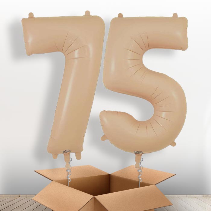 Matte Nude 75 Balloons in a Box