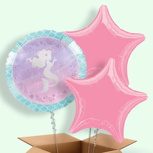 Mermaid Shine  Balloon in a Box - 3 Balloon | Small Indoor Plants