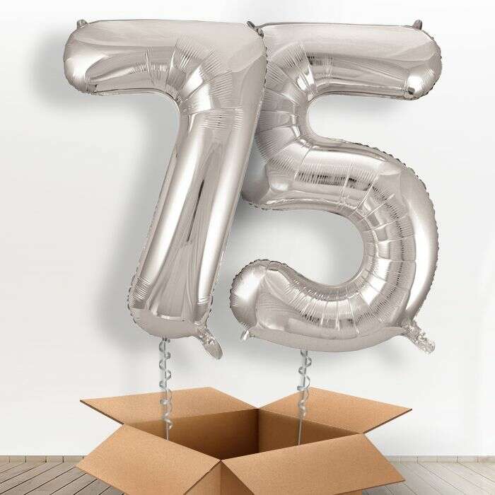 P-BOXSILVER75_e62ee670-0cf8-42fd-8d1d-4e748b1203e5