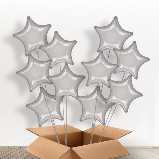 5 or 10 Balloon Cluster Silver Stars - 5 Balloons | Small Indoor Plants