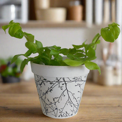 Earthy Natural Bamboo Plant Pot Branch Design with turtle plant in