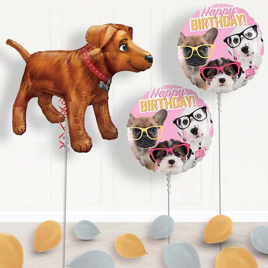 Inflated Dog | Puppy Helium Balloon Package in a Box