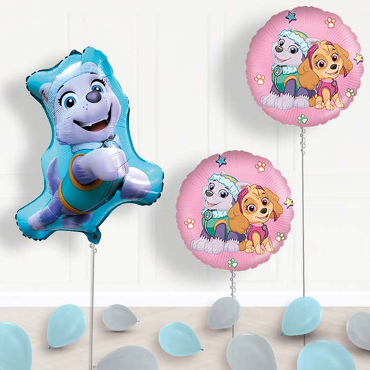 Giant Everest Paw Patrol Balloon Package Delivered