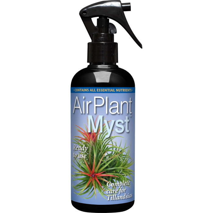 Air Plant Myst Spray 300ml