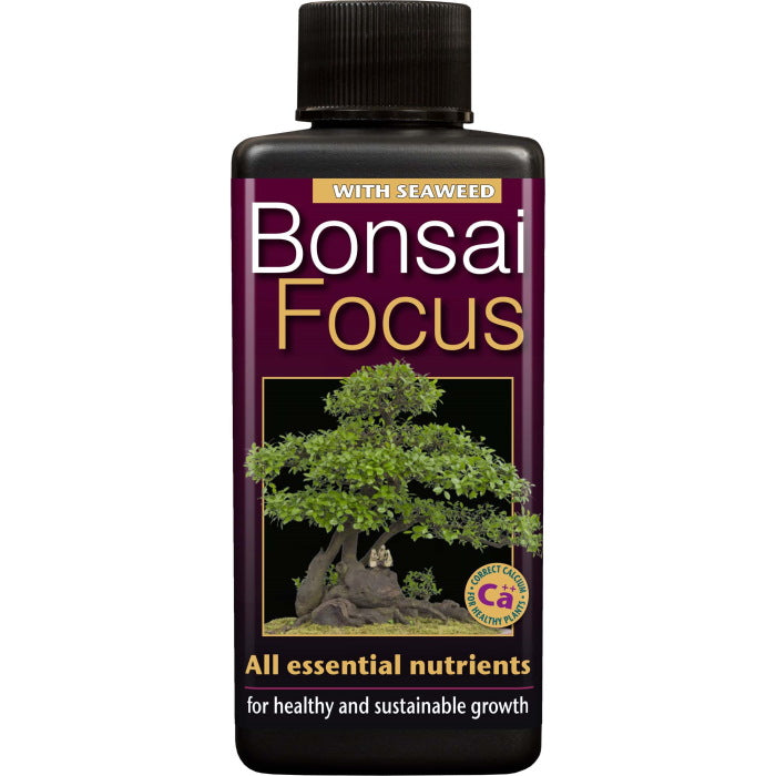 Bonsai Focus Feed 100 ml