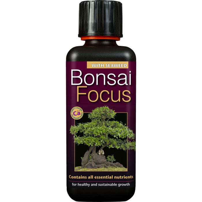 Bonsai Focus Tree Food 300 ml