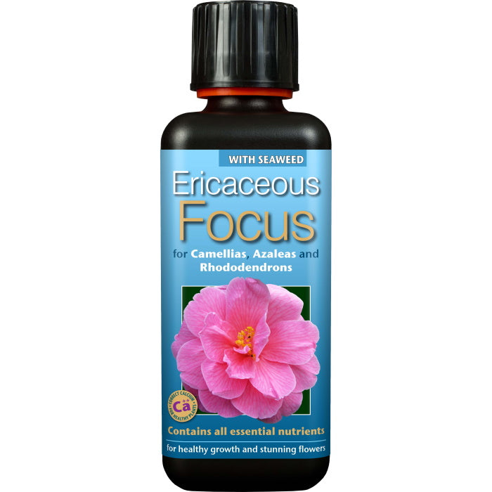 Ericaceous Focus Plant Food 300 ml