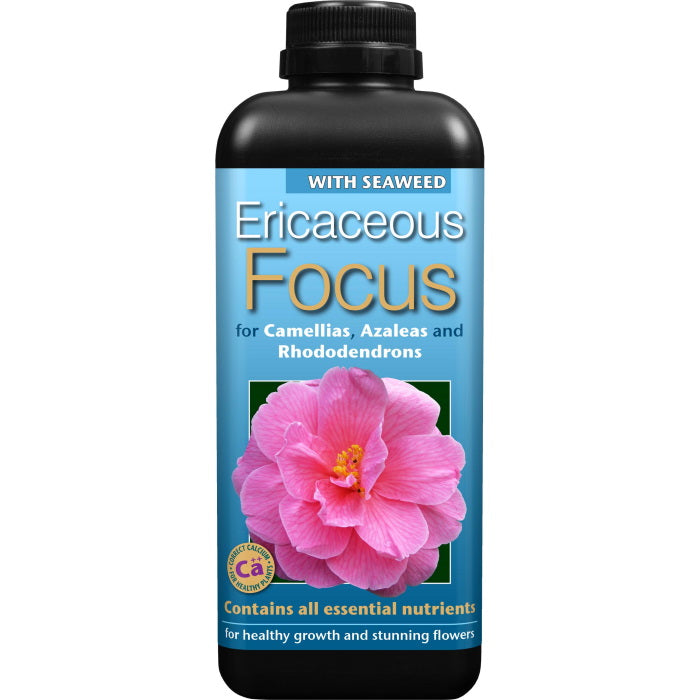 Ericaceous Focus Plant Food 1 Litre