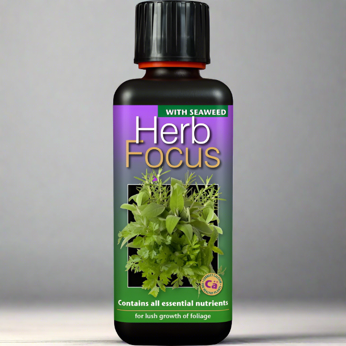 Herb Focus 300 ml Plant Food