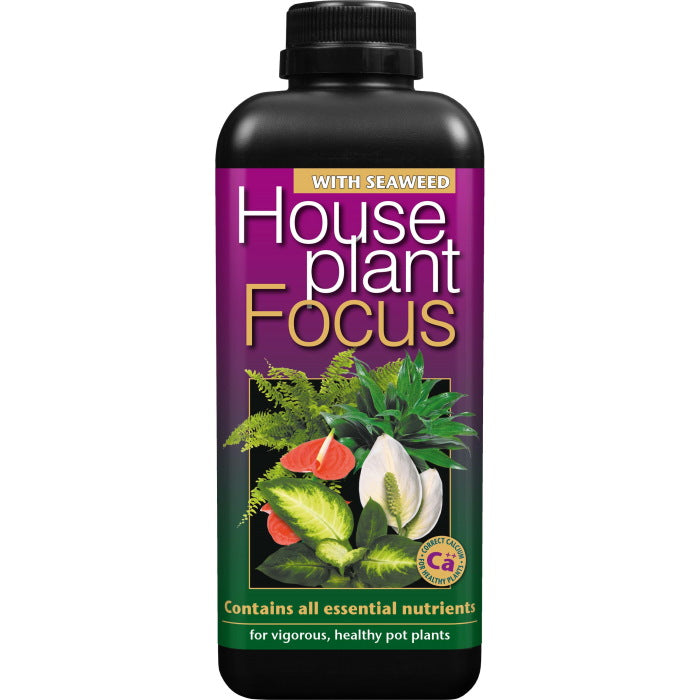 Houseplant Focus House Plant Food 1 Litre