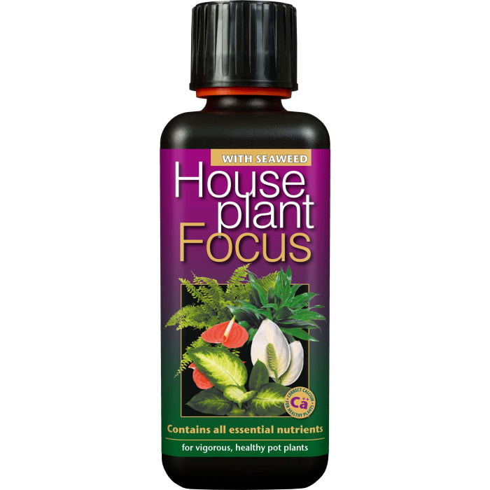 Houseplant Focus Plant Food 100 ml