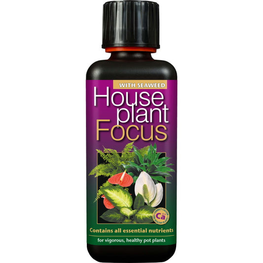 Houseplant Focus Plant Food 100 ml