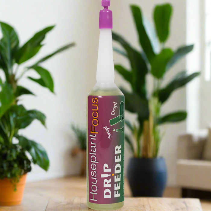 Houseplant Focus Drip Feeder 38ml