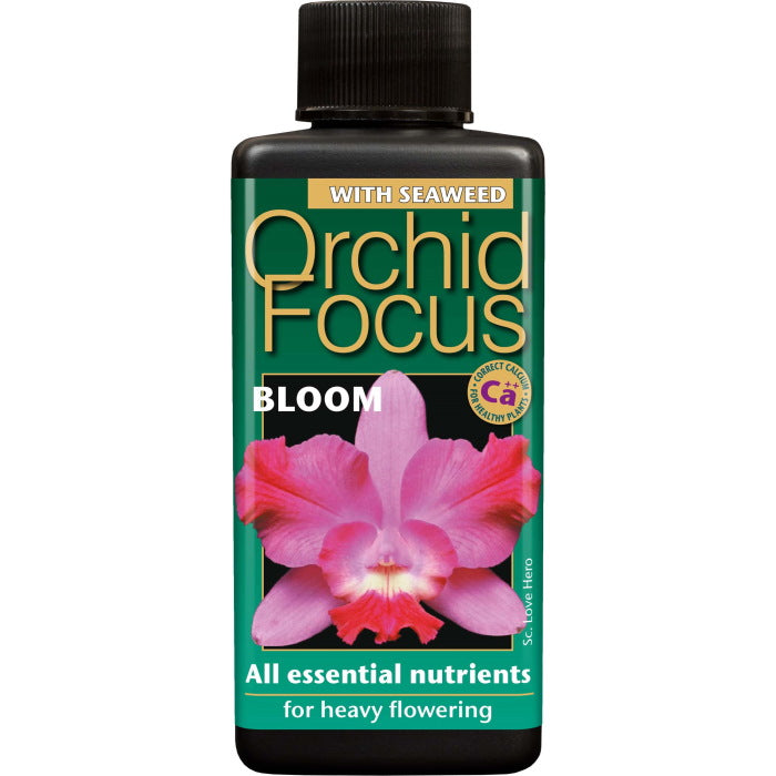 Orchid Focus Bloom 100 ml