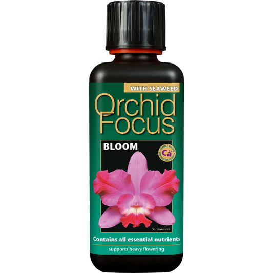 Orchid Focus Bloom 300 ml