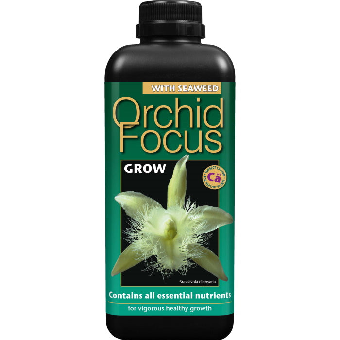 Orchid Focus Grow 1 Litre