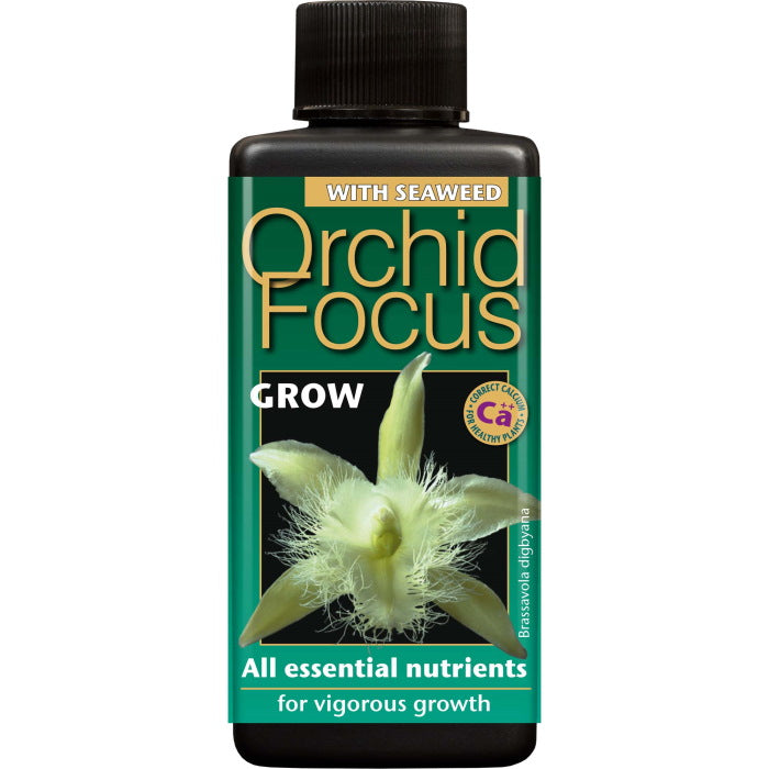 Orchid Focus Grow 100 ml